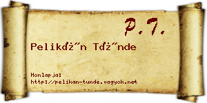 Pelikán Tünde névjegykártya