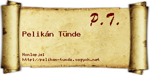 Pelikán Tünde névjegykártya
